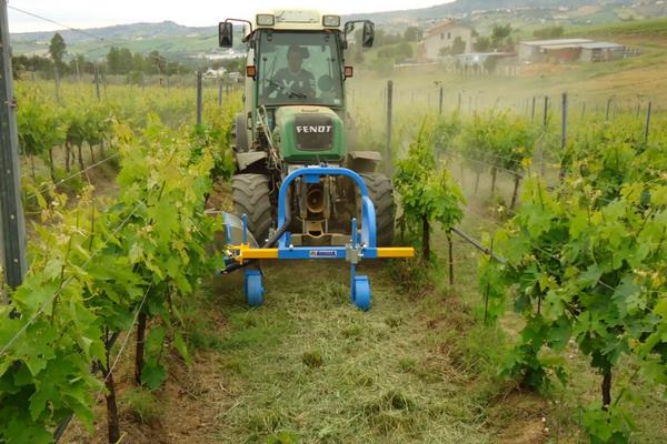 葡萄坐果后使用什么除草剂，机械除葡萄地杂草的方法