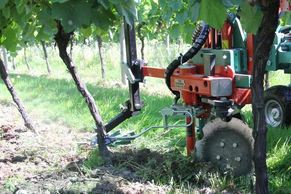 葡萄坐果后使用什么除草剂，机械除葡萄地杂草的方法