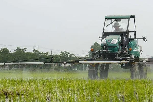 水稻叶面肥适宜喷施时间，附喷施要点