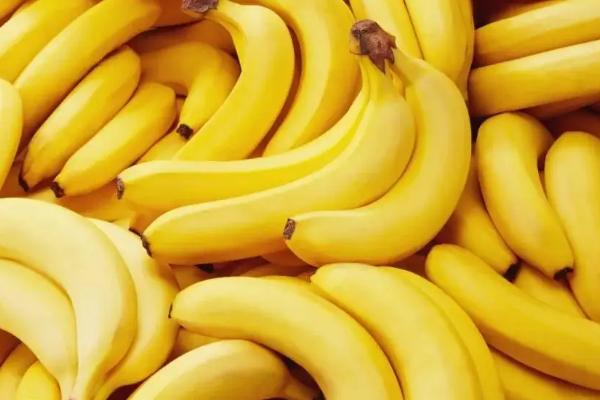 香蕉是一年生还是多年生