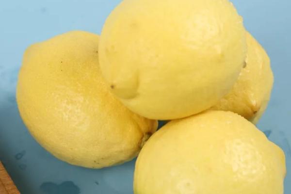 柠檬品种哪个好