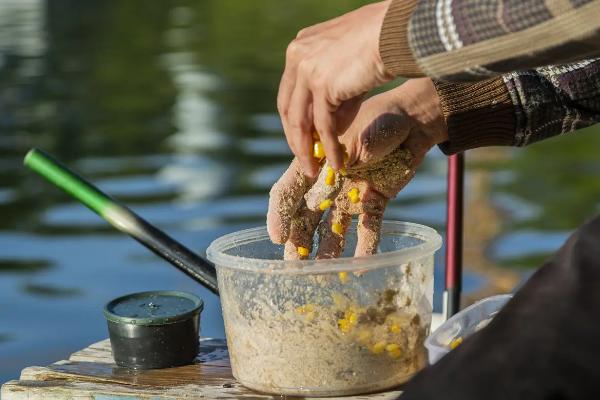 钓鱼时如何在饵料中使用甜菜碱