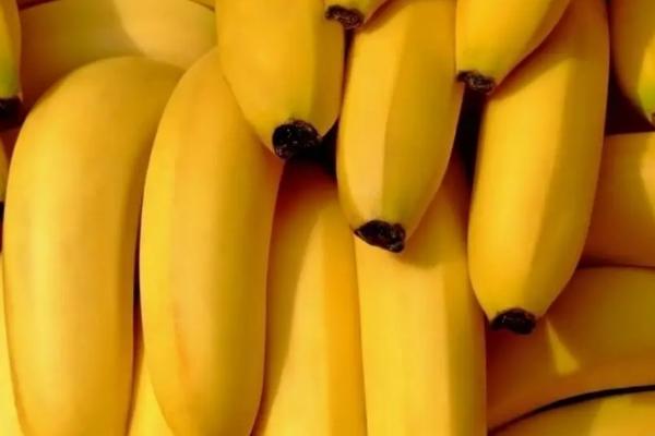 香蕉种植到收获大概多少个月