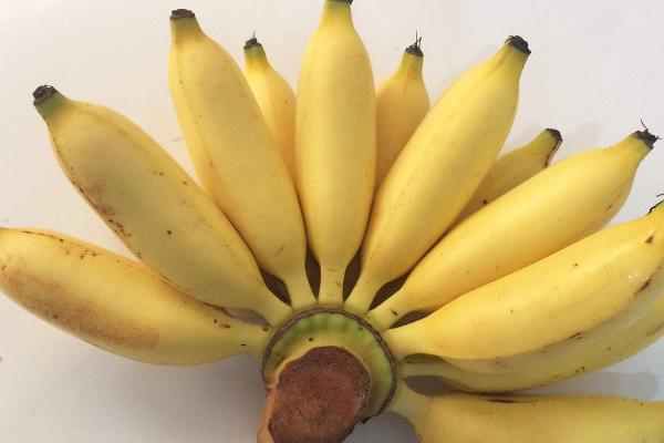 小香蕉是什么品种