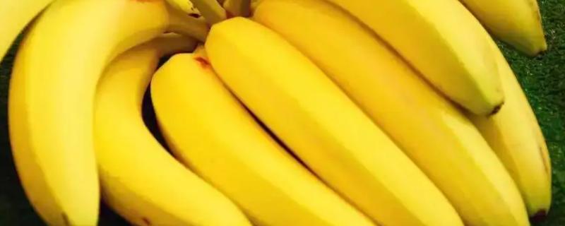 中国最好吃的香蕉排名