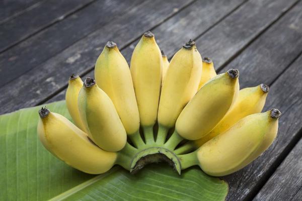 小香蕉是什么品种