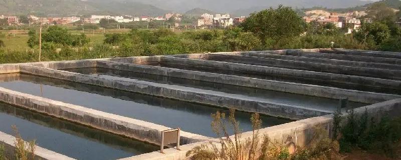养殖场污水处理方法