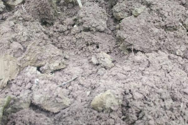 农业生产中测土配方施肥对化肥使用量的影响