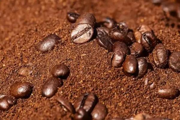 咖啡渣怎么做肥料