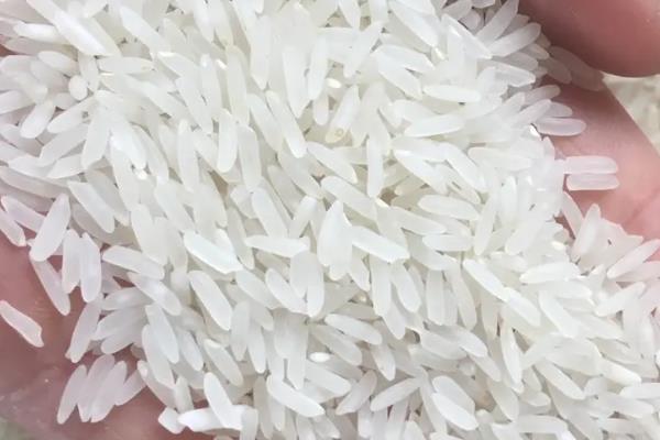 米的种类