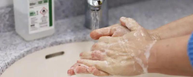 洗手能不能洗掉非洲猪瘟病毒