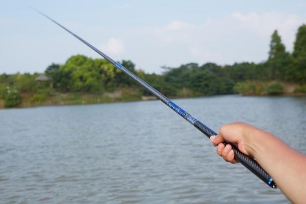 夏季夜钓用哪种味型的饵料和鱼竿，根据垂钓对象可使用不同的香饵