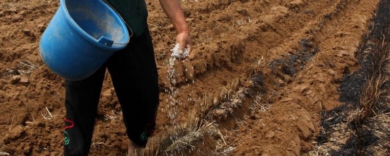 农村堆肥土方法，材料不可仅用粪尿肥