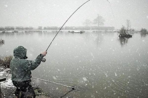 下雪天钓鱼怎么钓，鱼都集中在底部