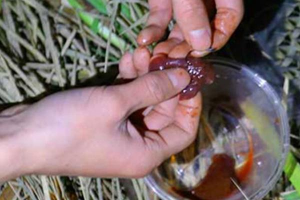 什么是钓水鱼，一般是指甲鱼