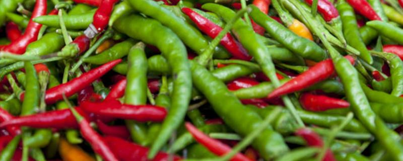 辣椒用什么叶面肥高产，不同的生长阶段所需肥不同