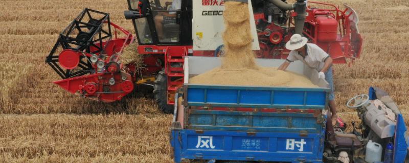 质量好的小麦收割机，报价大多在10万元以上
