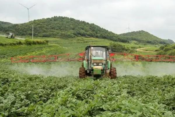 哪种马铃薯除草剂的效果比较好，防治禾本科杂草可使用乙草胺