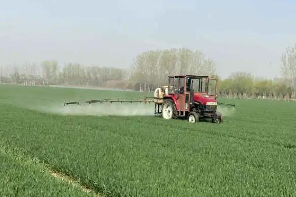 怎么鉴定除草剂的毒性，可采用喷雾法、液浸法等方式