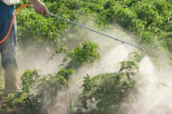 怎么使用防落素，可在作物的花期兑水喷雾