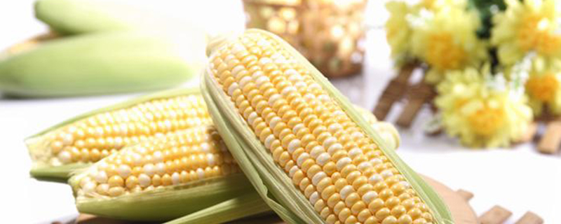 影响玉米产量的七个因素，充足的阳光和适宜的温度