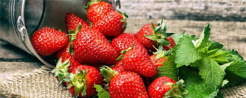 草莓几月份开始结果，草莓的生长周期通常分为三个阶段