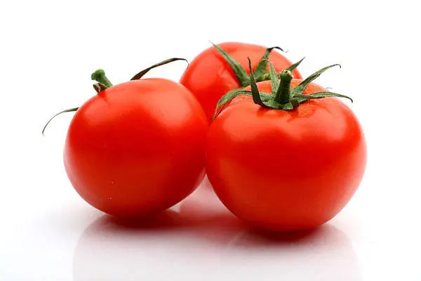 番茄如何才能高产,西红柿苗的种植方法