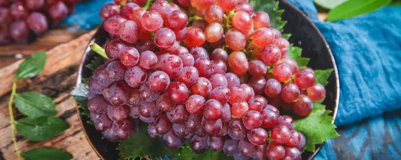 跟葡萄挺像的水果，你知道它的名字吗