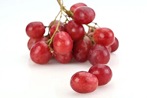 跟葡萄挺像的水果，你知道它的名字吗