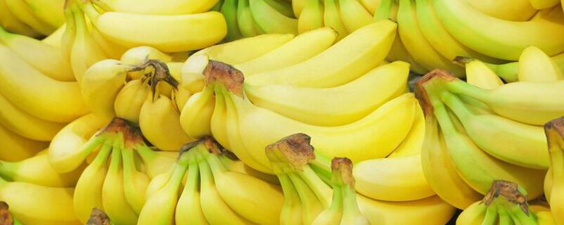 香蕉从开花到成熟要多久，香蕉果实生长特点