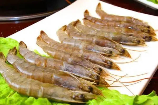 虾养殖方法的技术，根据虾的饮食习惯选择合适的饲料