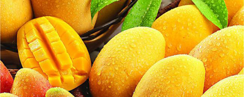 夏天结果的水果，哪些水果最适合夏季食用