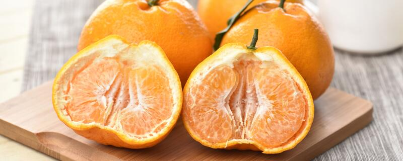 怎样防御柑橘冻害,可以通过覆盖不同的覆盖物来保护植物