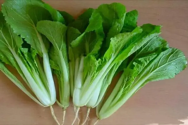 小白菜的种植方法