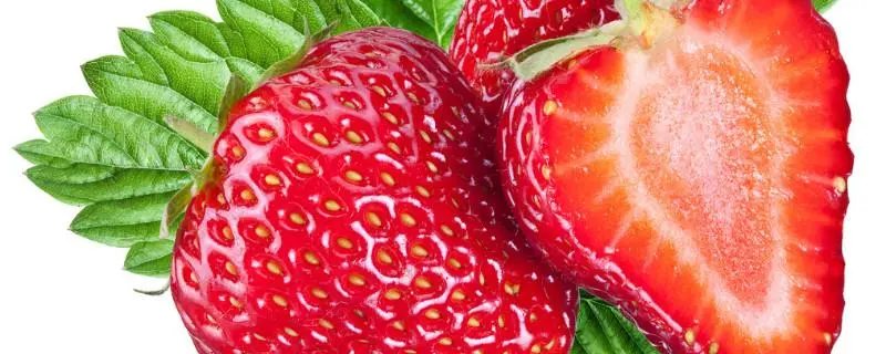 奶油草莓多少钱一斤，奶油草莓多少钱一斤现在市场价