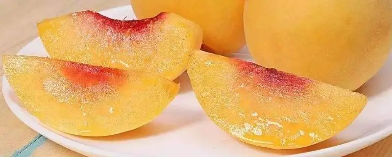 黄桃小果为什么是红色的，揭秘果实成熟的奥秘