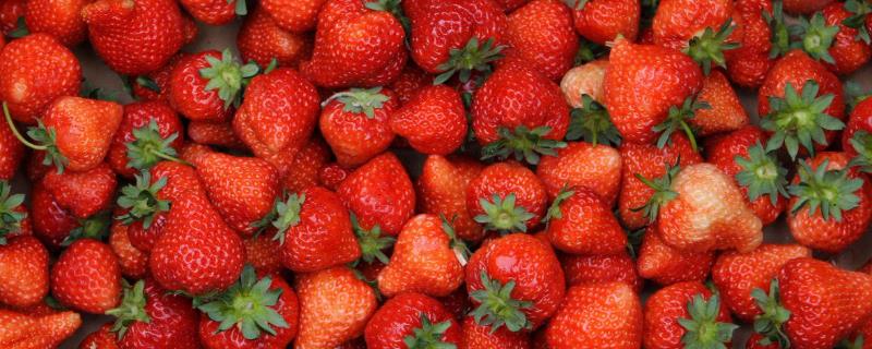 怎么鉴别草莓有没有使用过膨大剂，打过药的草莓口感软糯且寡淡