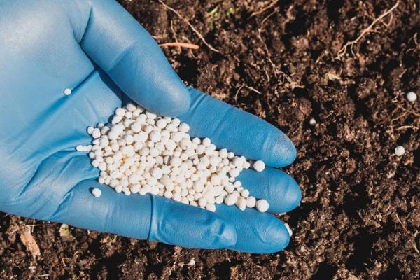 如何施用硫肥，可结合翻耕施入土壤