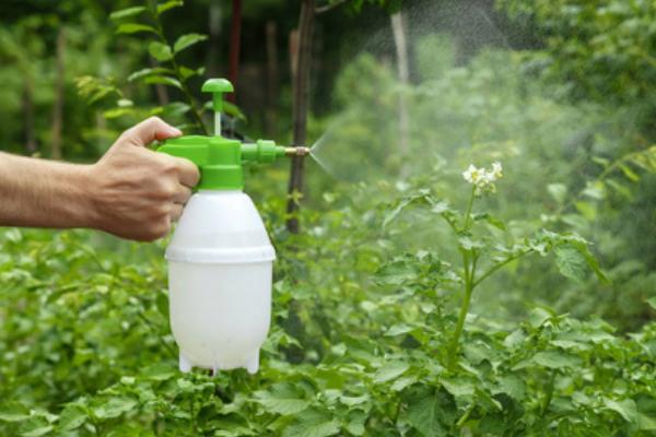 乙蒜素的使用方法，可用于浸种或喷雾