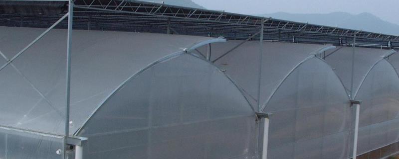 正确安装温室大棚薄膜的方法，可顺着大棚横向从顶部开始铺设