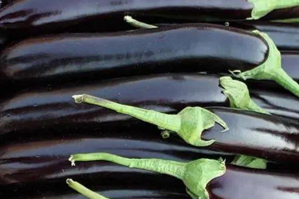 茄子在冰箱里能保存多长时间，一般可存放3-5天左右