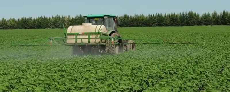 大豆施肥方法，根部追肥应主施氮肥