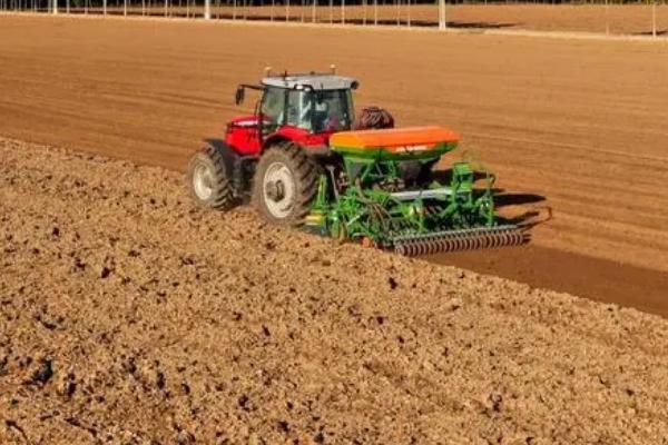 小麦精耕细种技术，播前做好种子处理