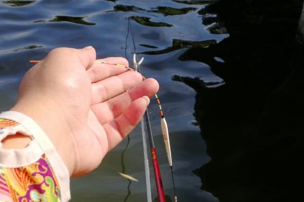 钓鱼浮漂吃铅程度，需根据鱼种大小选择漂号