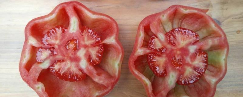 西红柿出现了空心果的原因，品种、水肥管理、受精不良等均有关