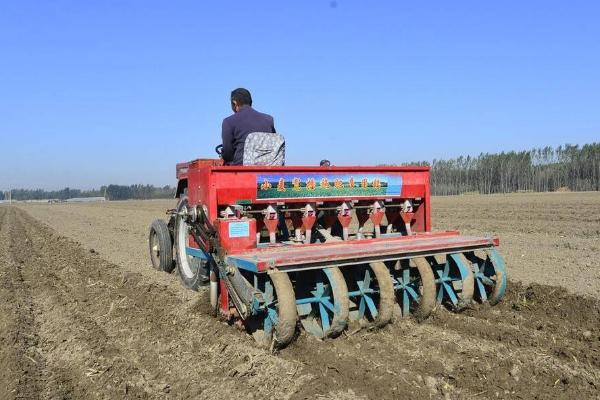 小麦半精量播种技术，对土壤肥力要求高