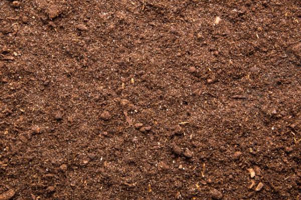 种红薯用什么土，养分较多的土壤有利于其生长