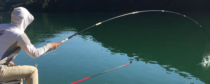 vib路亚饵适合钓什么鱼，常用于钓淡水鱼
