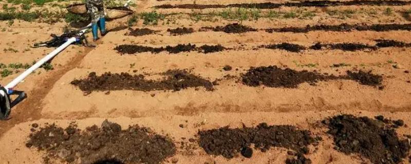 使用有机肥的优点，可改善土壤性状、提高作物品质