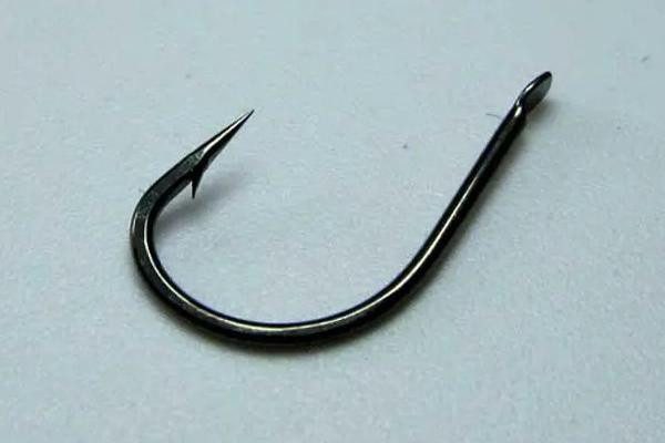 用哪种鱼钩垂钓甲鱼，可使用伊势尼钩、甲鱼针等钩型